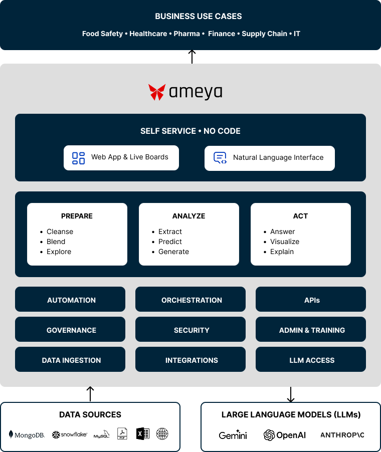 Ameya AI Platform Architecture